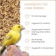Gelber Kanarienvogel mit einem Teller Samen, deutscher Text über Kanarienfutter ohne Rüben.