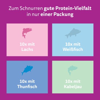 Grafik für Tiernahrung: Deutscher Kopftext über Proteinvielvalt und vier Kästchen beschriftet '10x mit Lachs, Weißfisch, Thunfisch, Kabeljau'.