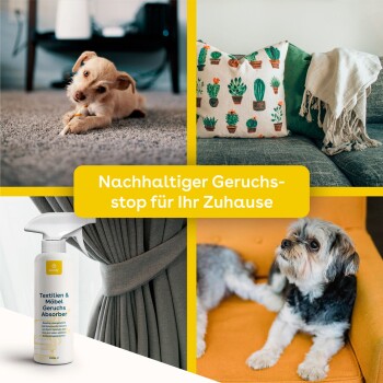 Ein verspielter Welpe kaut auf einem Spielzeug auf einem Teppich, mit einer Sprayflasche "Textilien & Möbel Geruchs Absorber" und gemütlicher Dekoration in der Nähe.