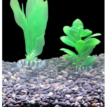 Zwei künstliche Aquarienpflanzen, eine hoch und blättrig grün, die andere kürzer mit breiten Blättern, vor einem schwarzen Hintergrund und kieselartigem Substrat.