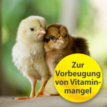 Zwei Küken, eines gelb und eines braun, stehen eng beieinander. Ein gelbes rundes Etikett liest 'Zur Vorbeugung von Vitaminmangel.'