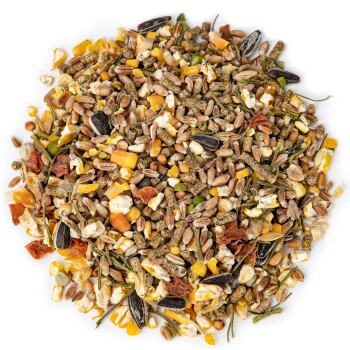 Eine bunte Mischung aus Vogelfutter mit Sonnenblumenkernen, Mais und verschiedenen Körnern, in einem kreisförmigen Haufen auf einem weißen Hintergrund angeordnet.