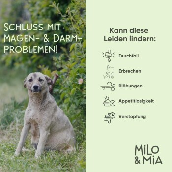 Ein Kind hält Hundefutter, während es einen schwarz-braunen Hund ansieht, mit einer Dose Milo & Mia Daily Bites und einem Testimonial-Zitat.