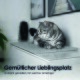 Eine graue getigerte Katze ruht auf einer weichen Matte auf einem weißen Schrank, umgeben von Dekoration und Fotos. Text: "Gemütlicher Lieblingsplatz."