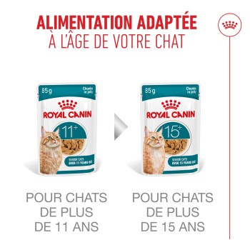 Pochettes de nourriture Royal Canin pour chats seniors, 11+ et 15+ ans, morceaux de 85 g en gelée.