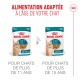 Pochettes de nourriture Royal Canin pour chats seniors, 11+ et 15+ ans, morceaux de 85 g en gelée.