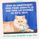 Chat long poil crème‑orange allongé sur une surface sombre avec un fond bleu ; texte en français : « LÉON VA MAINTENANT VOUS FIXER... »