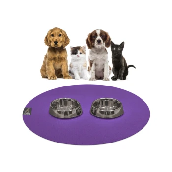 Eine lila Futtermatte für Haustiere mit zwei Edelstahlschüsseln steht im Vordergrund, während ein Hund, ein Kätzchen und eine schwarze Katze dahinter sitzen.