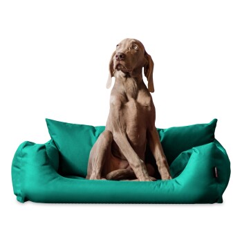 NEMO Hundebett Hundesofa S M L Hundekorb Katzenbett 65 80 100cm türkis 80 cm, 22 cm, 60 cm