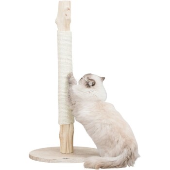 Eine flauschige, hellfarbige Katze kratzt an einem hohen, natürlichen Holzkratzbaum, der mit beigem Seil umwickelt ist, auf einer runden Holzbasis.