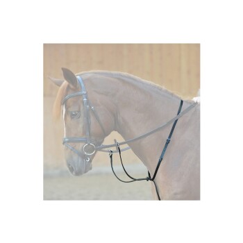 Eine Nahaufnahme eines braunen Pferdes mit einer schwarzen Trense, die sein Profil und die detaillierten Geschirrriemen zeigt.