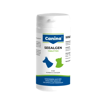 Weiße Canina-Seealgen-Tabletten-Flasche mit der Aufschrift „SEEALGEN TABLETTEN“ und „FÜR HUNDE & KATZEN“ sowie blauen Hunde- und grünen Katzen-Symbolen