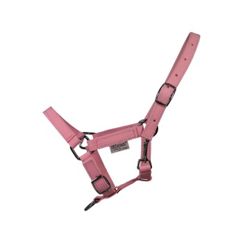 Rosa Haustiergeschirr mit verstellbaren Riemen und Metallverschlüssen, mit einem Etikett, das "EQuest" liest.