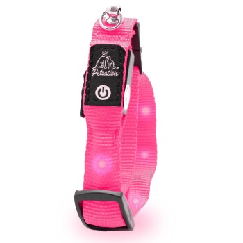 leuchtendes Katzenhalsband pink