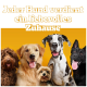 Vier fröhliche Hunde verschiedener Rassen auf einem leuchtend orangefarbenen Hintergrund mit dem Text "Jeder Hund verdient ein liebevolles Zuhause."