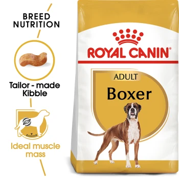 Royal Canin Adult Boxer dog food bag with a Boxer illustration and text on "Breed Nutrition," "Tailor-made Kibble," and "Ideal muscle mass."