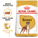 Royal Canin Adult Boxer dog food bag with a Boxer illustration and text on "Breed Nutrition," "Tailor-made Kibble," and "Ideal muscle mass."