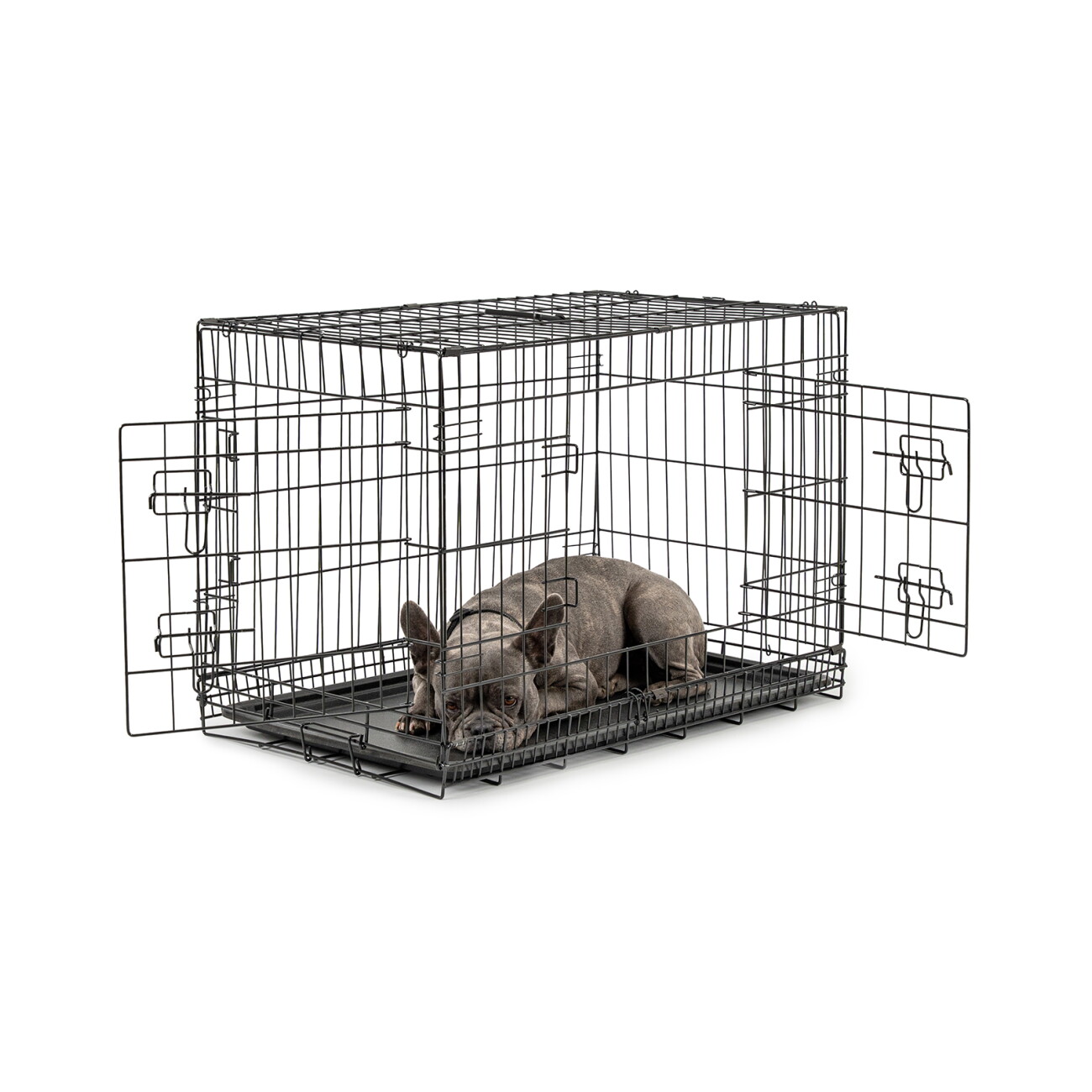 lionto Transportkäfig für Hunde & Katzen, Faltbar, 76 x 49 x 56 cm, Schwarz | Transportbox aus Metall mit Kunststoffwanne, Trennwand & stabilen Sicherheitsverschlüssen für Auto, Reise, Tierarztbesuch - Bild 3