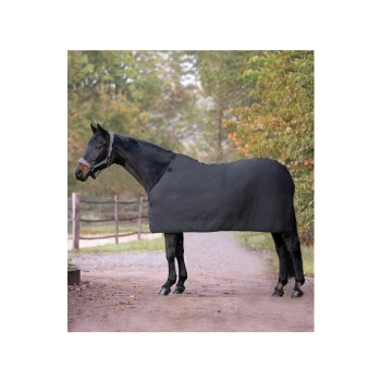 Ein schwarzes Pferd, das eine passende schwarze Decke trägt, steht auf einem Schotterweg, umgeben von Bäumen, und zeigt eine ruhige Außenumgebung.