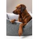 Ein brauner Hund, der bequem in einem plüschigen, grauen Haustierbett mit einem weichen, weißen Innenraum liegt.