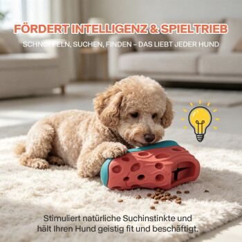 Lockiger beiger Hund mit rot-türkisem Leckerli-Spielzeug auf dem Teppich, verstreutes Futter; sichtbarer Text: 'FÖRDERT INTELLIGENZ & SPIELTRIEB'.