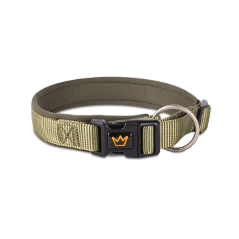 Olivgrüner Haustierhalsband mit einer schwarzen Schnalle, die ein oranges Kronenlogo und einen Metall-D-Ring für die Leinenbefestigung aufweist.