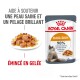 Hair & Skin en gelée 12x85 g