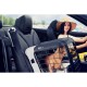 Skrzynia transportowa Caree antracyt/szary