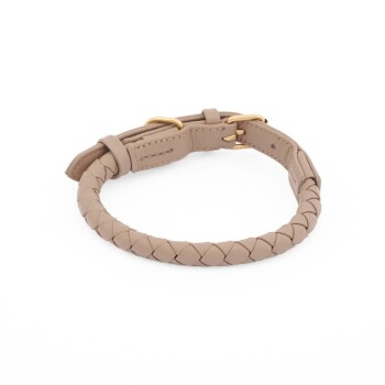 Ein stilvoller beiger geflochtener Leder-Haustierhalsband mit einer goldenen Schnalle, auf einem weißen Hintergrund präsentiert.
