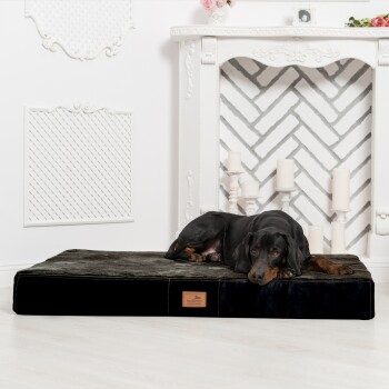 Ein schwarzer und brauner Dobermann ruht auf einem plüschigen Hundebett in einem stilvollen Raum mit einem weißen Kamin und dekorativen Kerzen.