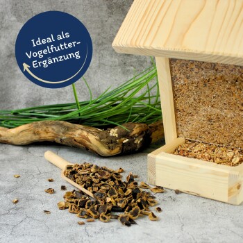 Ein Holzvogelhausfütterer, gefüllt mit Samen, neben einer Schaufel mit getrockneten Blütenblättern, mit dem Text 'Ideal als Vogelfutter-Ergänzung' in einem blauen Kreis.