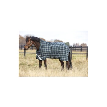 Ein braunes Pferd trägt eine grün-navy karierte Decke und steht auf einer grasbewachsenen Wiese, mit einem Zaun im Hintergrund.