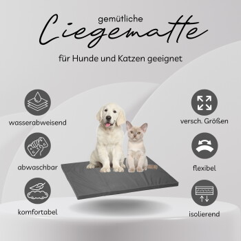 Dunkelgraues Hundebett (105×67×5 cm) mit dem Text „Farbe: dunkel Grau/ Anthrazit, Größe: mittel“ und einem Golden Retriever.