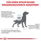 Infografik über Unverträglichkeiten bei Hundefutter, die Hautprobleme und Verdauungsprobleme hervorhebt, mit Text auf Deutsch, der spezifische Ernährungsbedürfnisse bespricht.