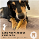 Ein Hund, der auf einem langen Kauknochen kaut, liegt auf einer weichen Oberfläche. Der Text lautet "LANGANHALTENDER KAUSSPASS" und "Feste Konsistenz, gesunde Zähne."