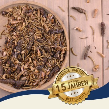Getrocknete Insekten, darunter Mehlwürmer und Grillen, in einer Holzschale mit einem goldenen Abzeichen mit der Aufschrift "15 Jahren Best Quality".