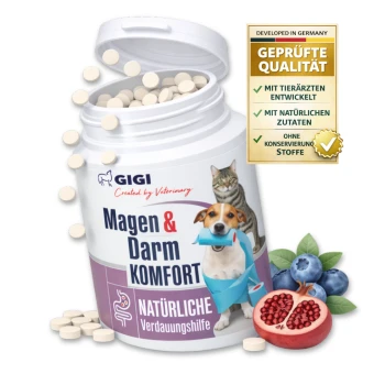 Behälter von GIGI Magen & Darm Komfort, ein natürliches Verdauungshilfsmittel für Haustiere, mit einem Hund und einer Katze auf dem Etikett neben Heidelbeeren und Granatapfel.