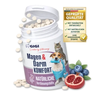 Behälter von GIGI Magen & Darm Komfort, ein natürliches Verdauungshilfsmittel für Haustiere, mit einem Hund und einer Katze auf dem Etikett neben Heidelbeeren und Granatapfel.