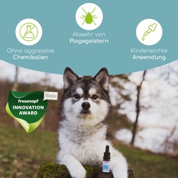 Ein Hund sitzt im Freien neben einer Tropfflasche mit der Aufschrift "Vertreibt Schädlinge", mit einem "fressnapf INNOVATION AWARD"-Abzeichen. Keine aggressiven Chemikalien.