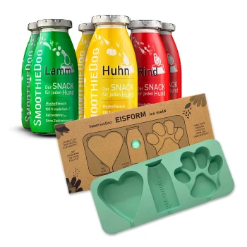 Vier bunte Flaschen mit Hundesnacks mit der Aufschrift "Huhn," "Rind," und "Lamm," neben einer grünen Silikon-Eisform in Form einer Pfote und eines Herzens.
