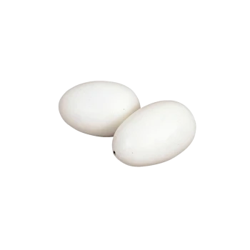 Two smooth, white eggs positioned closely together on a plain background.