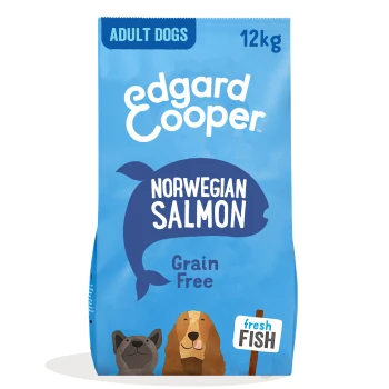 Dog food bag featuring "Edgard Cooper" brand, labeled "Norwegian Salmon," 12kg, grain-free, with illustrations of a dog and fish.
