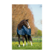 Ein braunes und weißes Pferd, das eine blaue gepolsterte Decke trägt, steht auf einer grasbewachsenen Fläche mit Bäumen im Hintergrund.