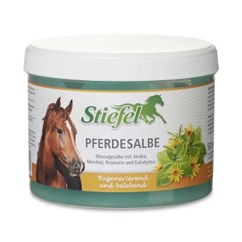 Stiefel Pferdesalbe Glas mit einem Pferdegrafik, beschriftet als Massagebalsam mit Arnika, Menthol, Rosmarin und Eukalyptus.