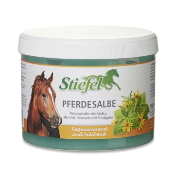 Stiefel Pferdesalbe Glas mit einem Pferdegrafik, beschriftet als Massagebalsam mit Arnika, Menthol, Rosmarin und Eukalyptus.