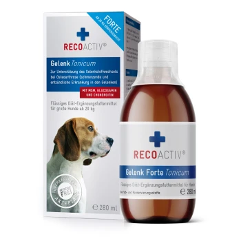 Flasche RECOACTIV Gelenk Forte Tonicum für große Hunde, 280 ml, mit dem Profil eines Beagles und Text über Gelenkunterstützung.