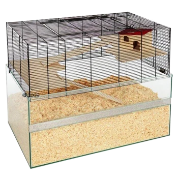 Une grande cage pour animaux en verre et en fil avec une maison en bois, une rampe et du matériel de literie à l'intérieur, conçue pour les petits animaux.