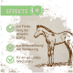 Illustration eines Pferdes mit dem Text: "Stärkt das Immunsystem," "Unterstützt die Verdauung," "Fördert gesundes Wachstum."