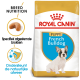 Royal Canin Puppyvoer voor Franse Bulldogs, met een puppy afbeelding, details over voeding voor het ras, en claims over het ondersteunen van natuurlijke verdedigingen.
