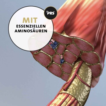 Illustration von Muskelfasern mit dem Text "STÄRKT DIE MUSKULATUR IN JEDER EINZELNEN FASER", der die Muskelkraft betont.